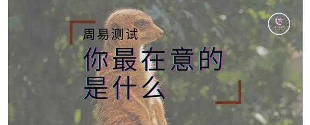 周易测试 ｜ 你最在意的是什么？