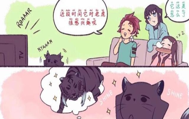 鬼灭之刃：炭治郎收养了一只猫，因太像霞柱，取名为无一郎酱