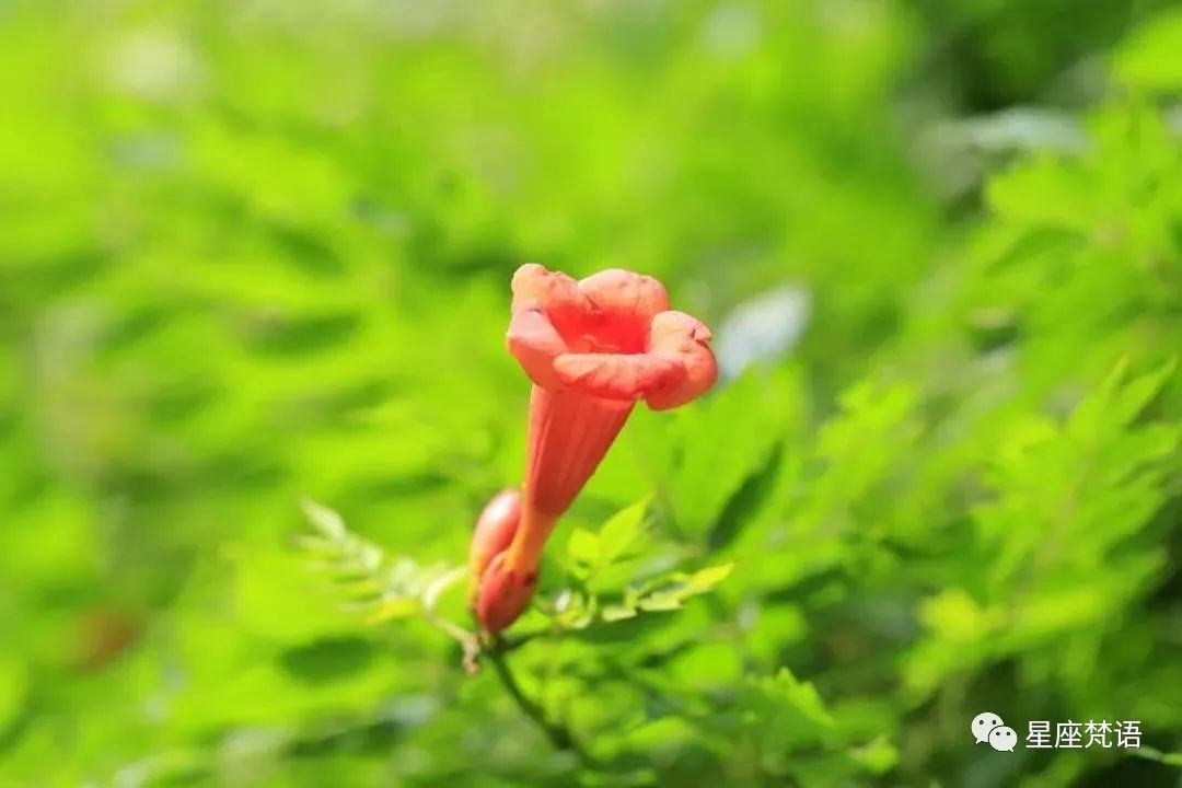 算命的说：5月将会贵人主动找进门，桃花结缘、大运如雨下，6月财运红透半边天，睡着都笑醒