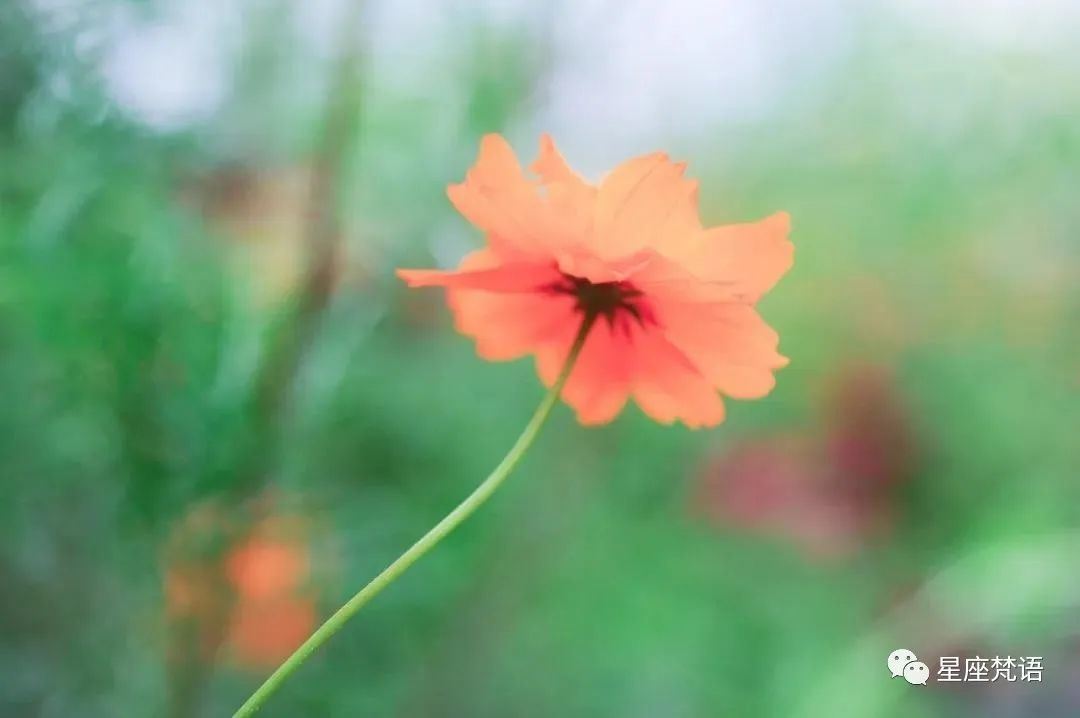 算命的说：5月将会贵人主动找进门，桃花结缘、大运如雨下，6月财运红透半边天，睡着都笑醒