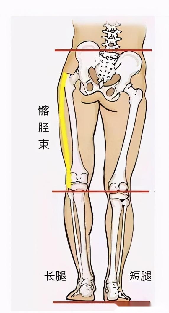 刘涛也内八字？X型腿如何破？做好这2步细直疏影腿你也有