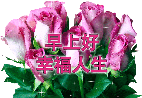 早晨好幸福暖心的问候表情图片5月漂亮好看的早上好美图鲜花带字