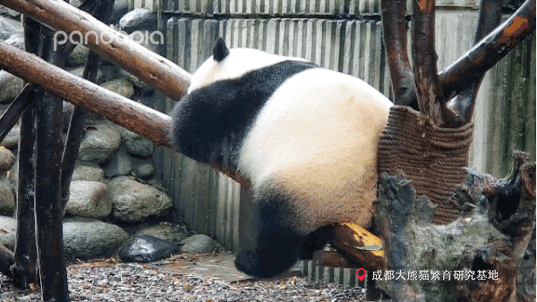 那你得好好学一下了