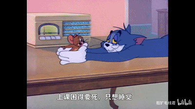 猫和老鼠中藏着的生活真理