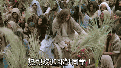 400_224gif 动态图 动图