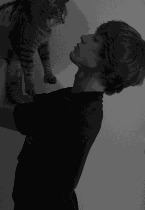 养猫以后男朋友就没你什么事儿了