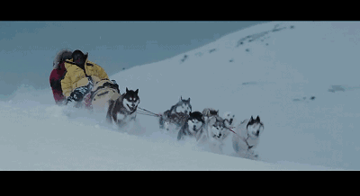 400_218gif 动态图 动图