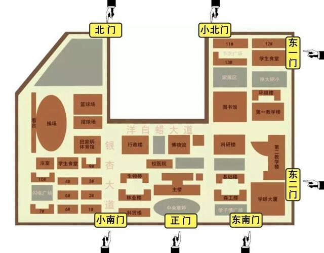 玩转研途 这本通关秘籍保你研途不迷路 北林各大地标等你打卡